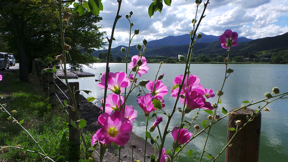 Le Japon en juillet, bonne ou mauvaise idée ?