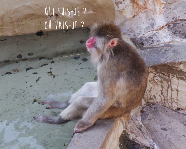 Les pistes pour gagner sa vie au Japon quand on ne parle pas japonais (et que l’on est pas ingénieur)