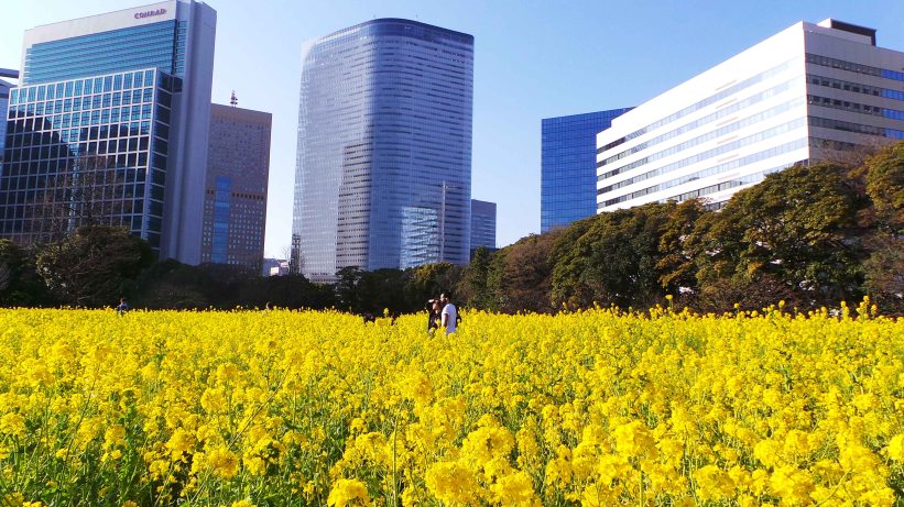 Idée de balade à Tokyo : Balade dans le jardin Hama-Rikyū à Tokyo, Japon