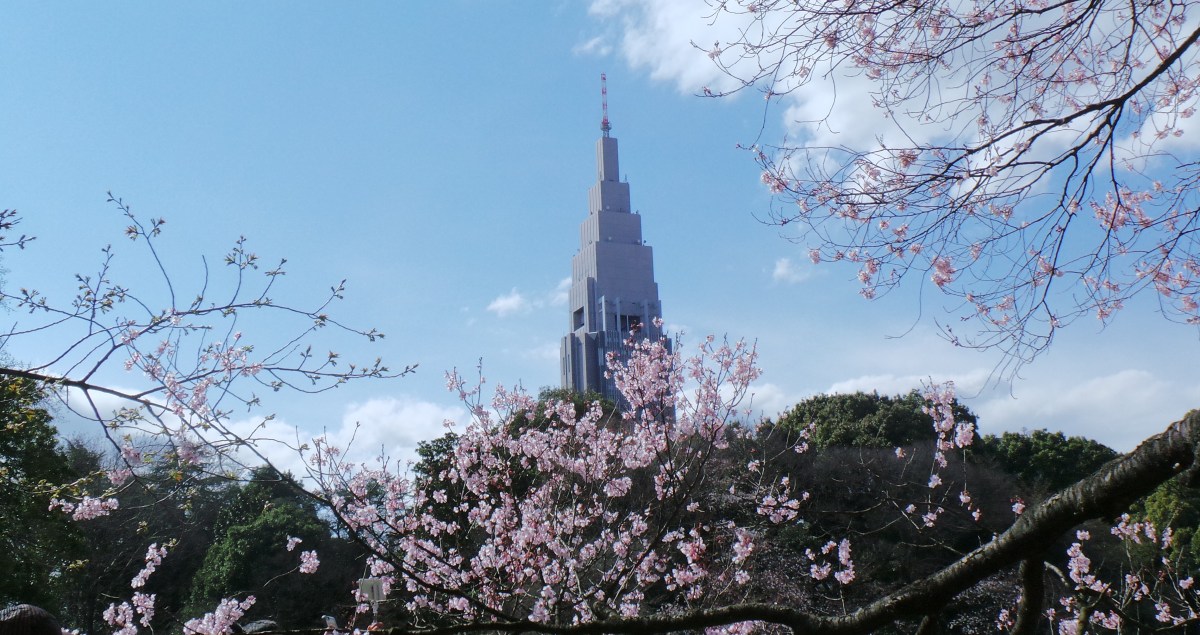 Parc à visiter à Tokyo durant Hanami