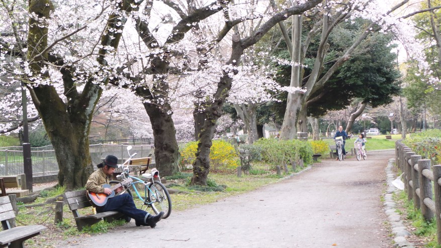 La rivière Zenpukuji, un spot calme pour les sakura, Tokyo, Japon.