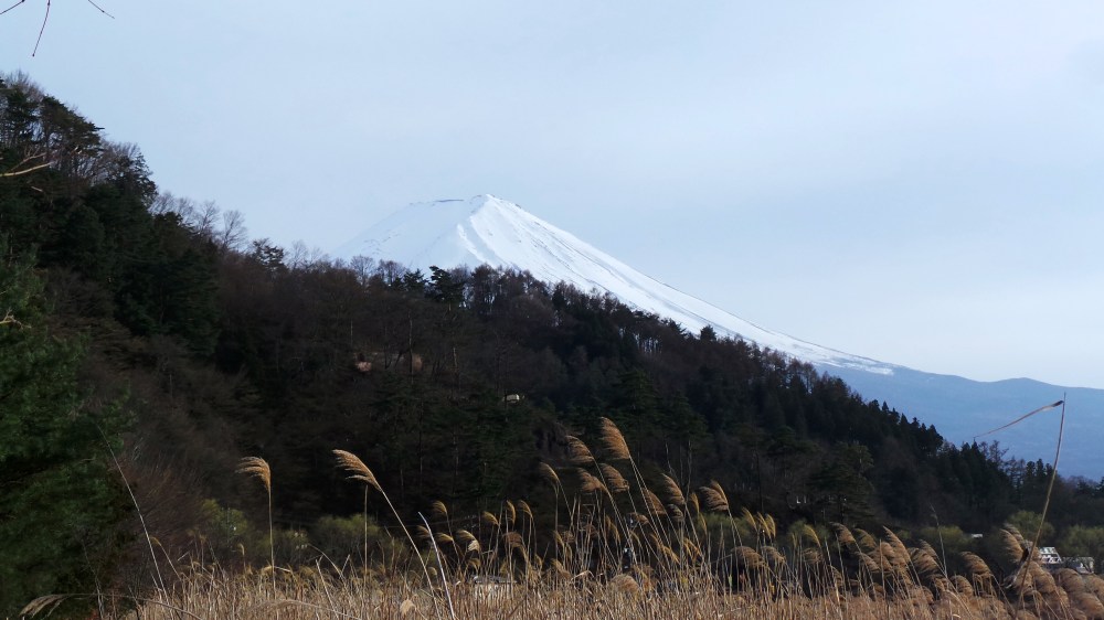 Splendide vue sur le mont Fuji de Kawaguchiko, près de Tokyo