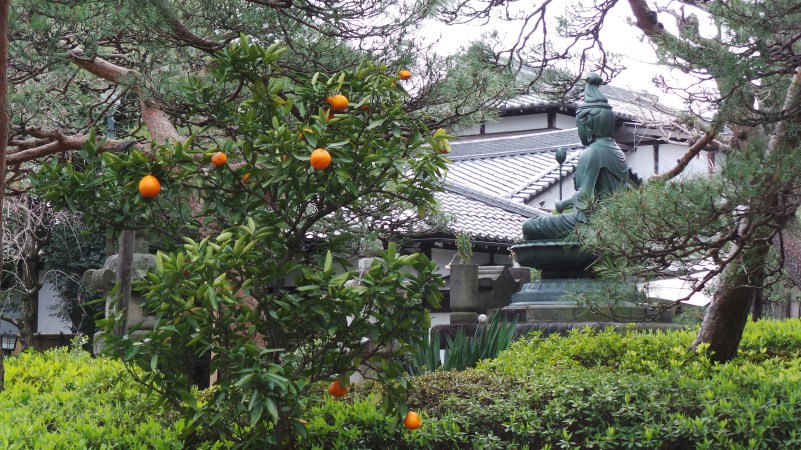 Temple Shinsei ji buddha