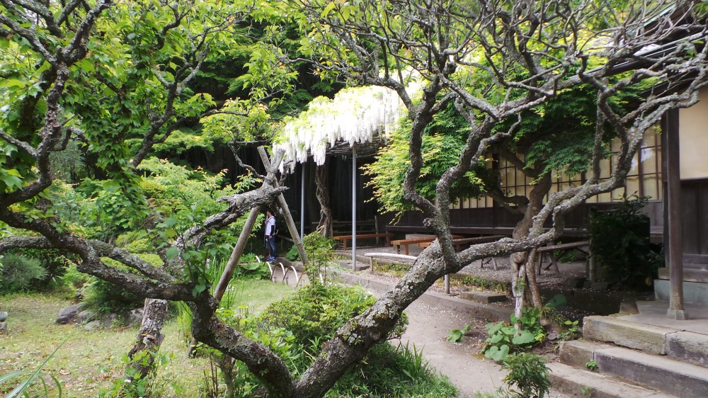 Eisho-ji, un temple 100% féminin à Kamakura 