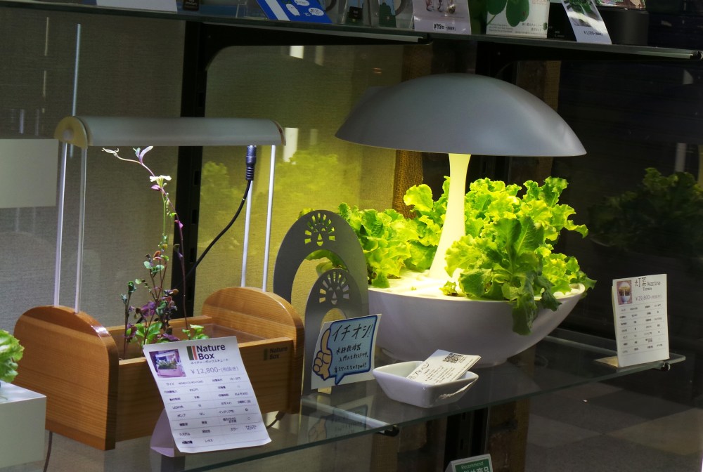 Boutique design Nakano Broadway, un centre commercial insolite 