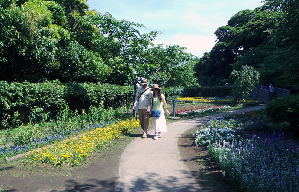 Jardins d'Enoshima, près de Tokyo, Japon.