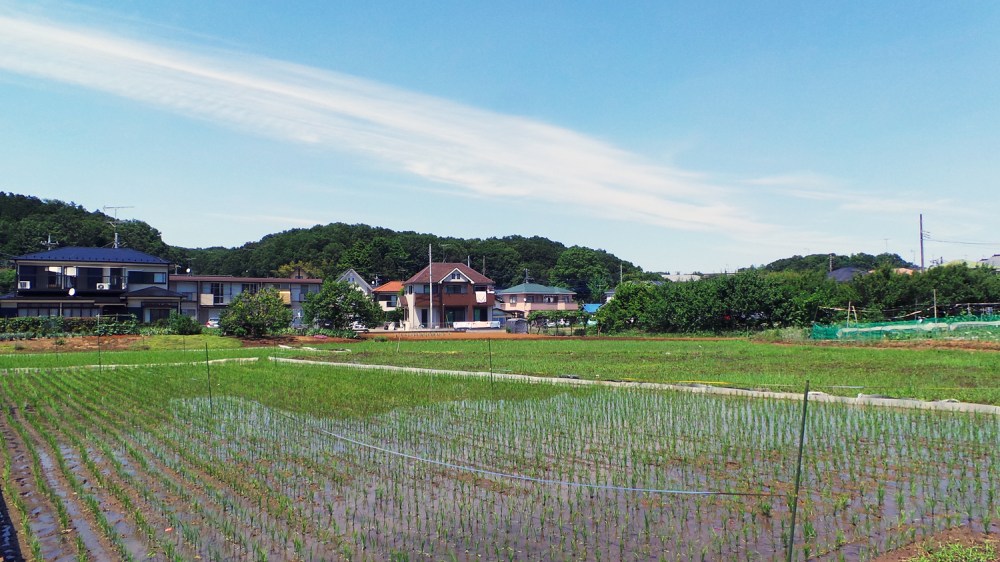 Charmant village rural dans les environs de la forêt de Totoro.
