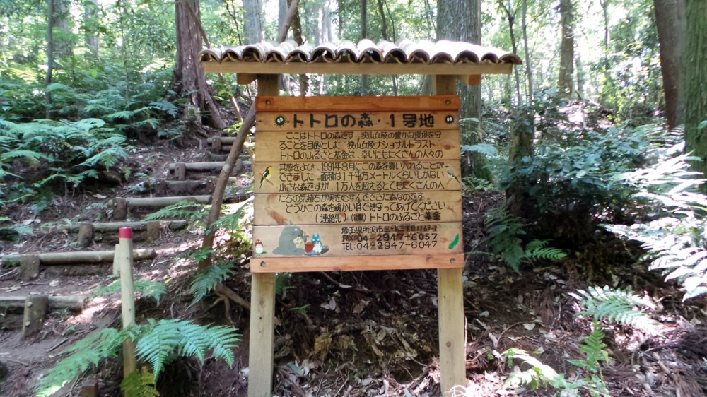 La forêt de Totoro près de Tokyo.