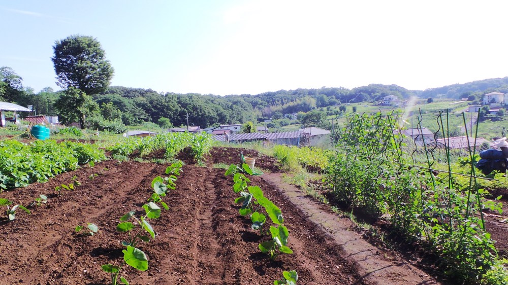 Charmant village rural dans les environs de la forêt de Totoro.