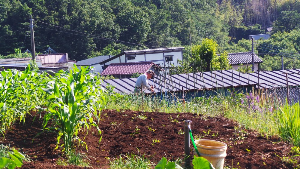 Charmant village rural dans les environs de la forêt de Totoro.