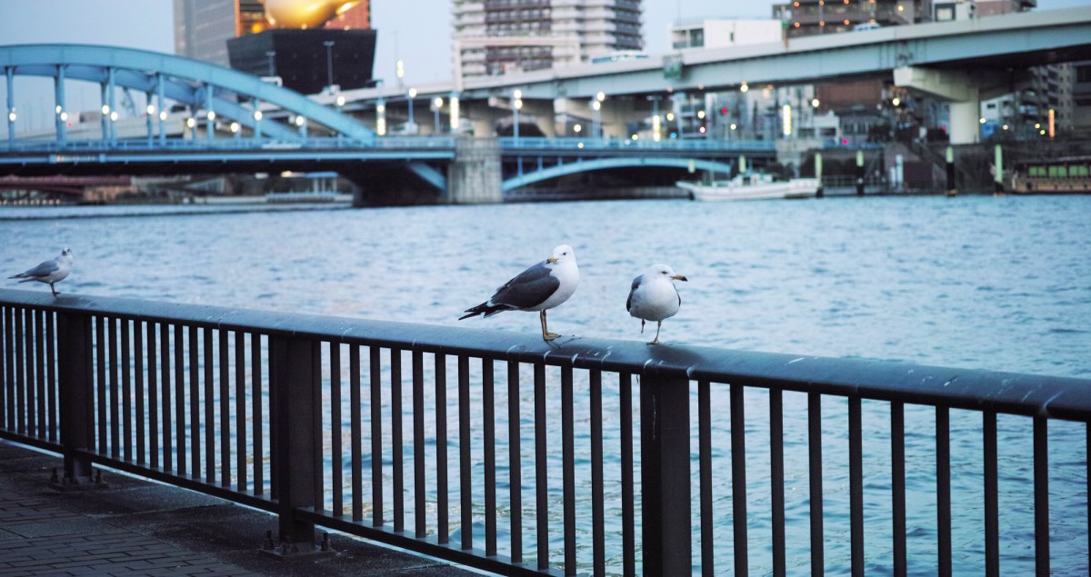 Idées d'activités à Tokyo