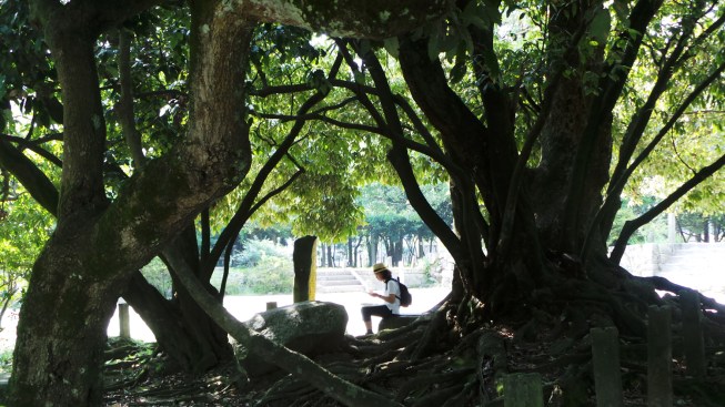 Jardin du temple Kanzeonji à Dazaifu, Fukuoka