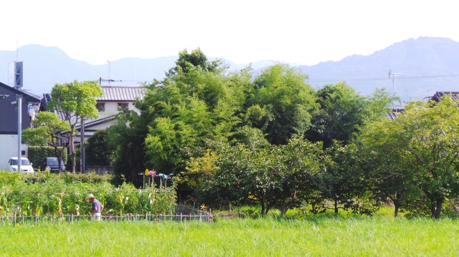 Traversée d'un petit village, avant de rejoindre la gare à Dazaifu, Fukuoka