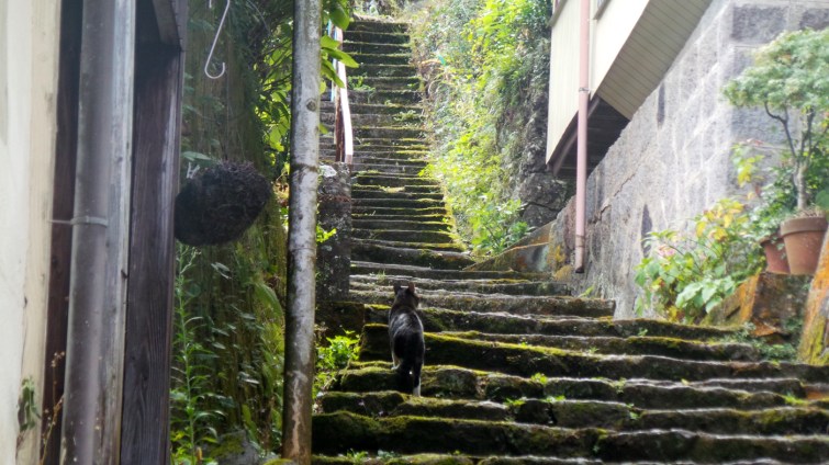 Chat sur les marches d'une ruelle du village de Yonohira près de Yufuin, Kyushu