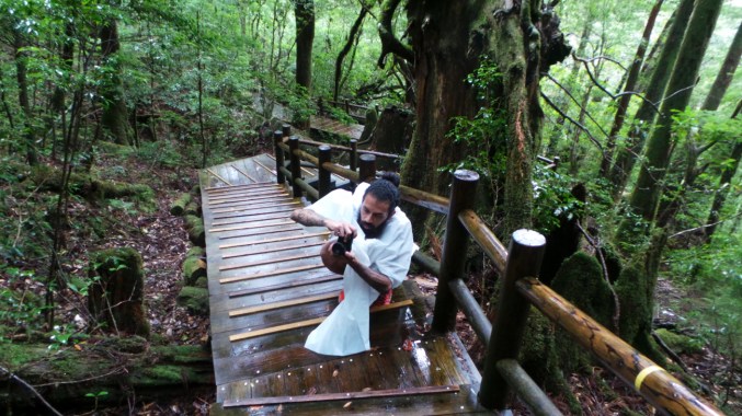 Dans le parc naturel de Yakusugi land sur l'île de Yakushima, Japon.