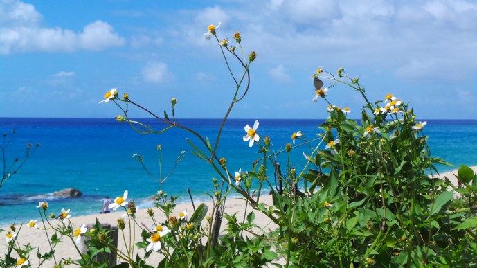 Plage de Nagata Inaka sur l'île de Yakushima, Japon.