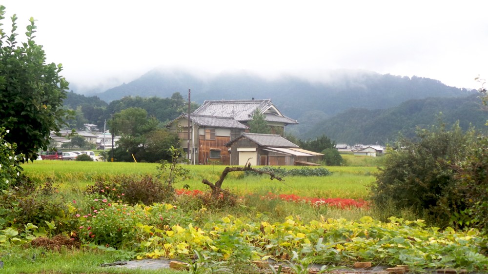 Le charmant village rural d'Asuka, Kansai, Japon.