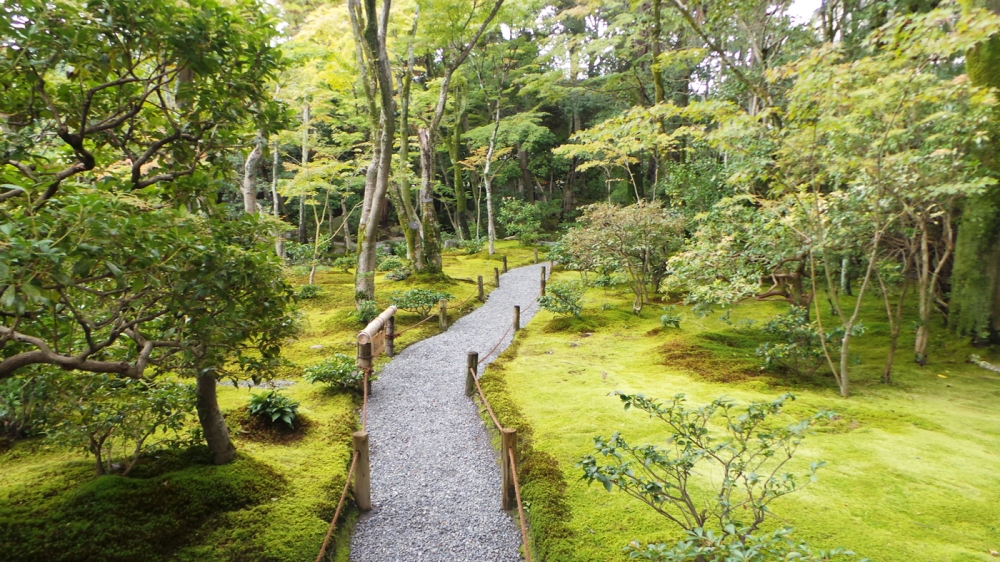 Jardin de mousse Murin-an à Kyoto, Japon.