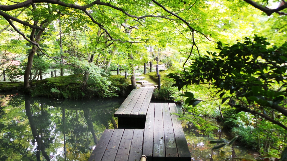 Magnifique jardin Riko-gyen, Kyoto, Japon.