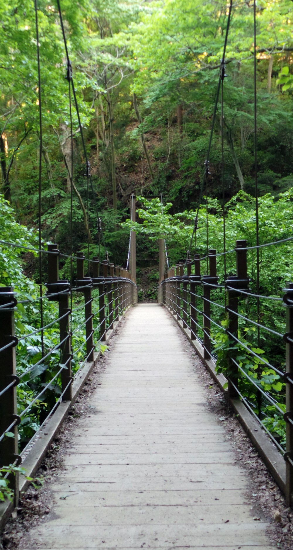 Pont sur la route d'une randonnée au mont Takao, Tokyo, Japon.
