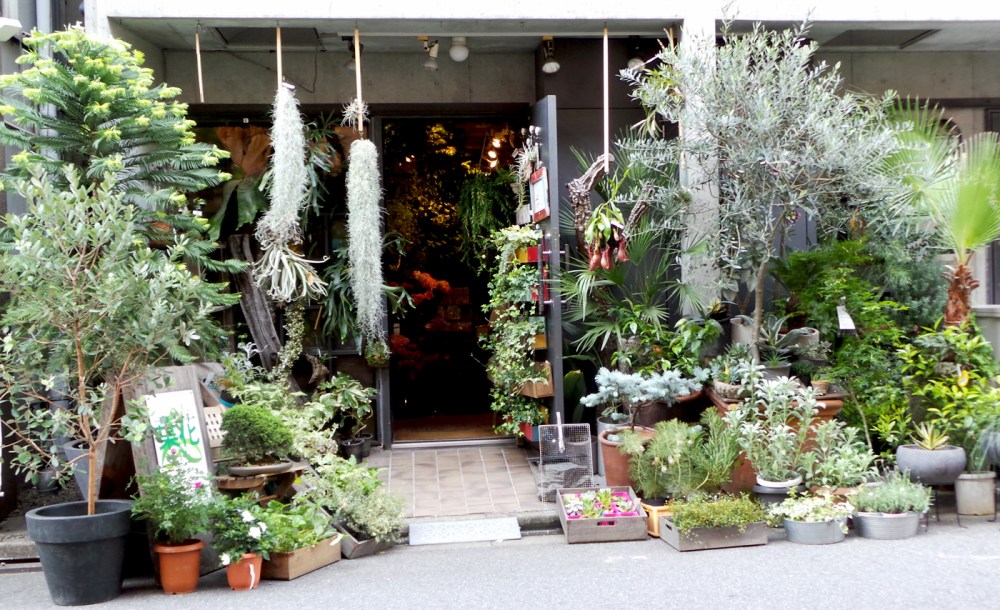 Jolies boutiques du quartier de Yoyogi à Tokyo, Japon.