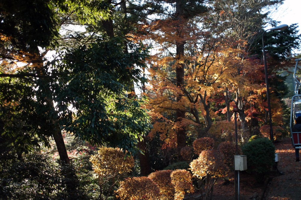 Téléphérique automne mont Takao, Tokyo, Japon.