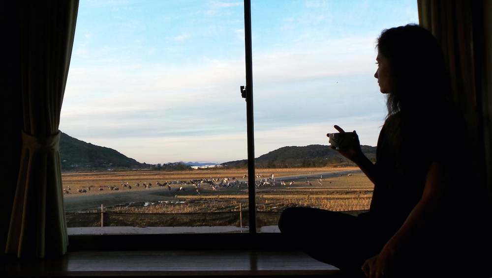 Ryokan pour observer les grues à Izumi, Kyushu, Japon.