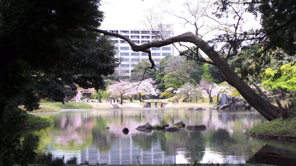 Koishikawa Korakuen, un jardin à visiter au moment des sakura, Tokyo, Japon.