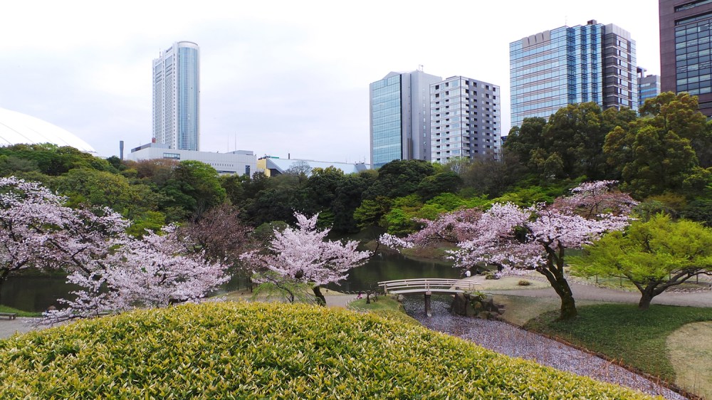 Visite du jardin Koishikawa Korakuen pendant Hanami, Tokyo, Japon.