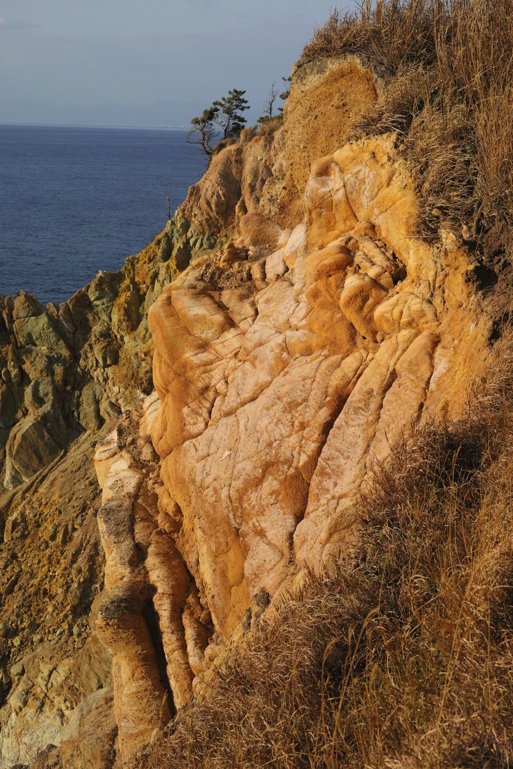 Parc de Koganezaki dans la péninsule d'Izu, préfecture de Shizuoka, Japon