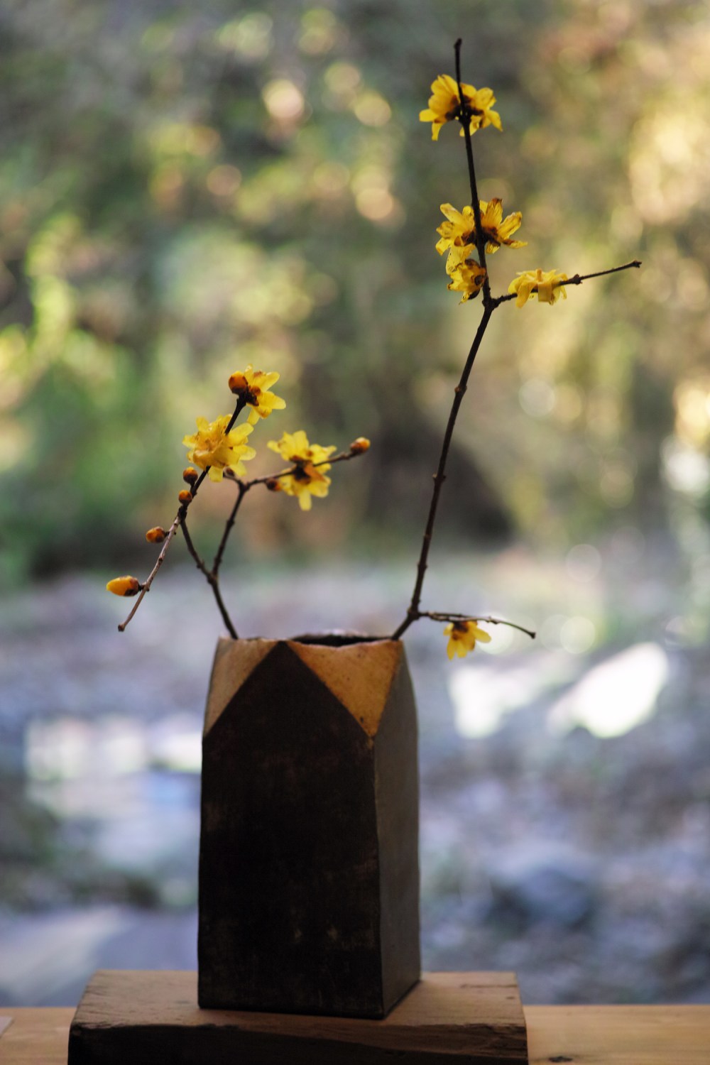 Poterie TAMEI KAZUYOSHI près du sanctuaire Okuni Jinja, Hamamatsu, préfecture de Shizuoka, Japon.