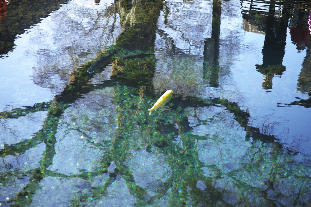 Étang aux eaux transparentes venant du Fuji, au village Oshino Hakkai, Japon.
