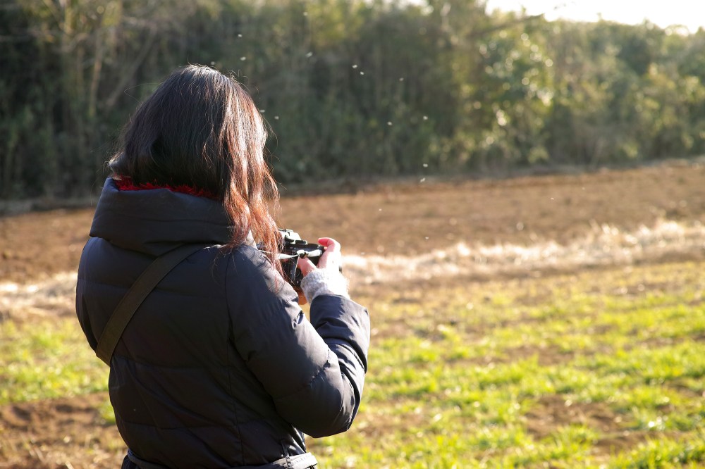 Reportage photo dans les champs à Kashima, près de Tokyo, Japon.