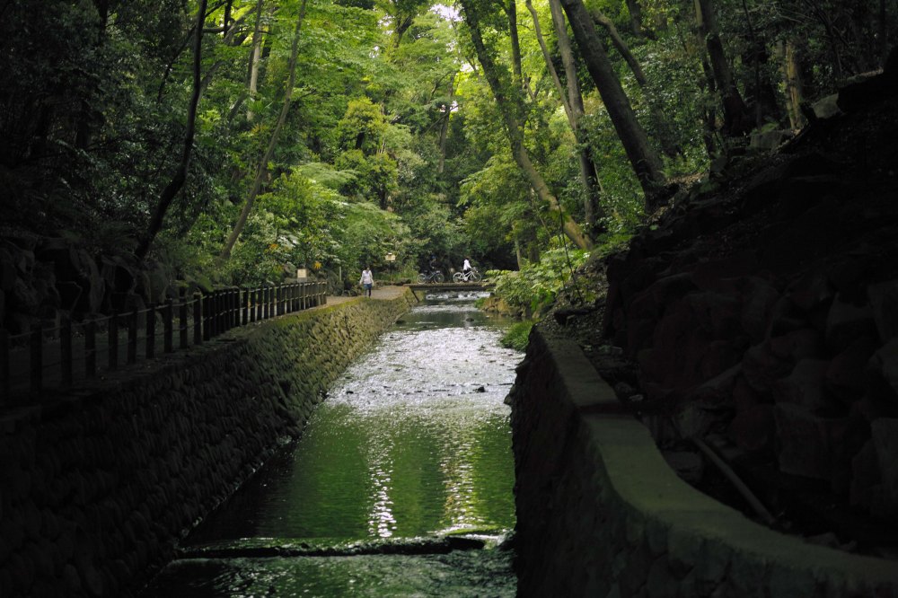 À l'ombre de la vallée de Todoroki dans le quartier de Setagaya à Tokyo 