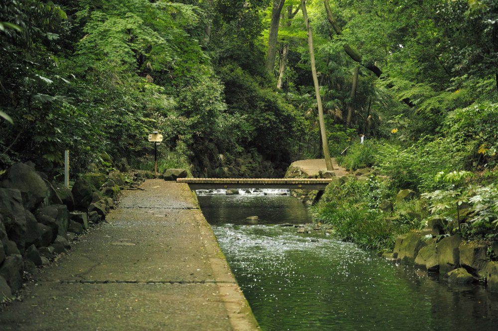 Le long de la rivière Yazawa dans la vallée Todoroki à Tokyo