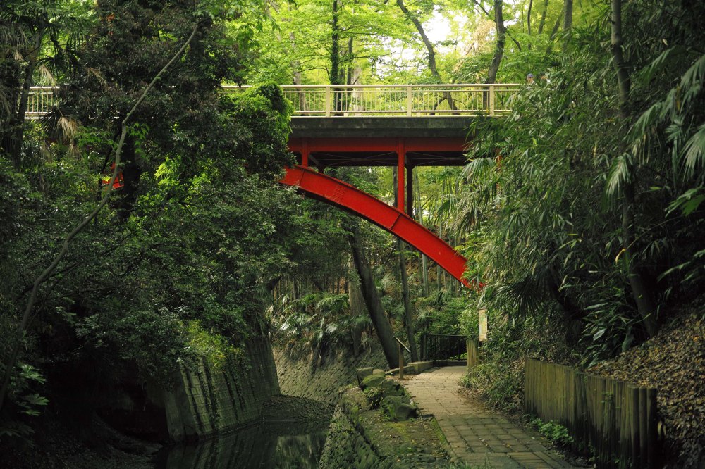 Pont vermillon dans la vallée de Todoroki dans le quartier de Setagaya à Tokyo 