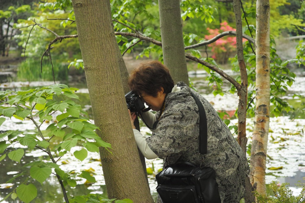 Photographe au jardin botanique de Sapporo, île d'Hokkaido, Japon.
