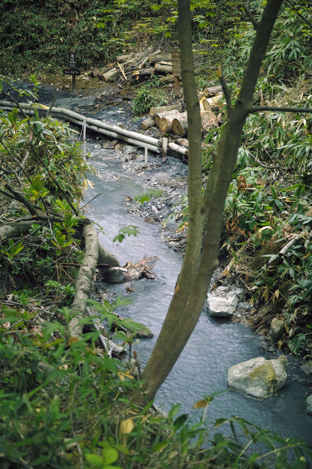 Bain de pied dans la rivière chaude du parc de Noboribetsu, au sud de l'île d'Hokkaido, Japon.