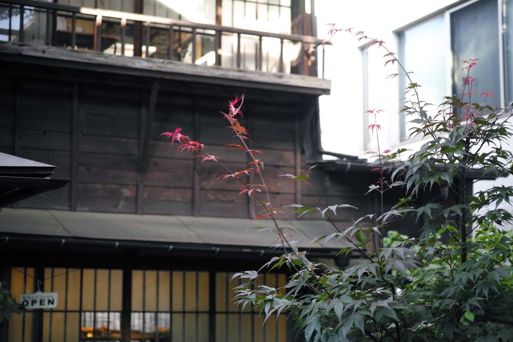 Joli lieu japonais à découvrir à Tokyo dans le quartier de Yanaka