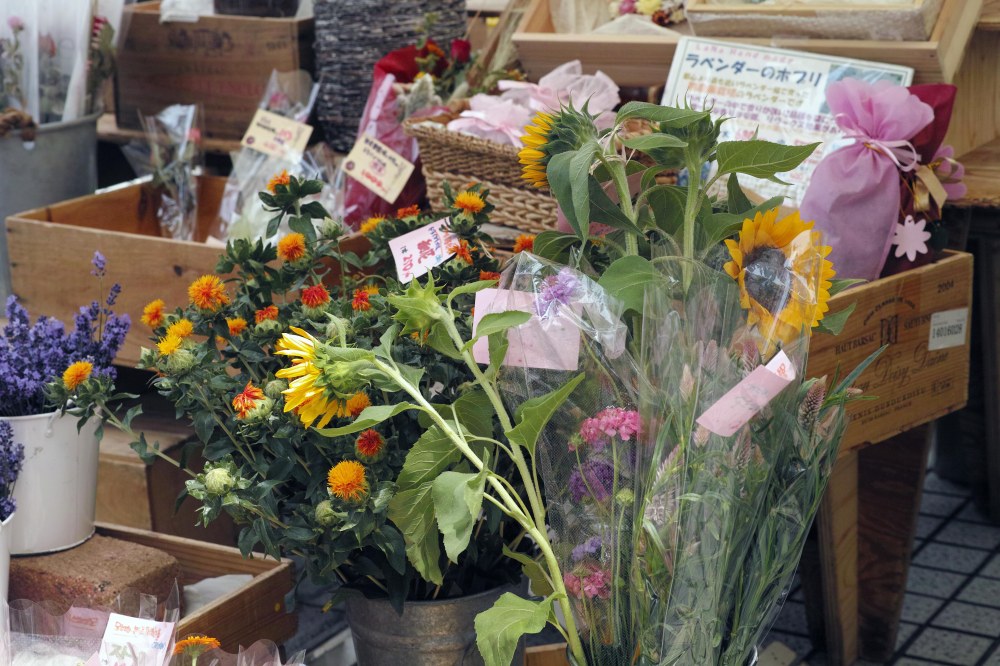 Aoyama farmers market, marché de producteurs à Tokyo, Japon