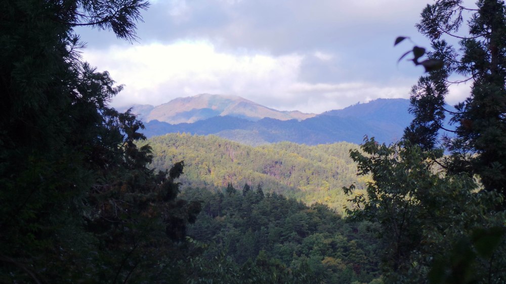 Promenade dans les montagnes autour de Takayama, Japon.