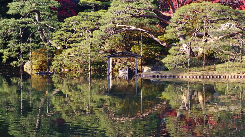 Se promener dans les couleurs de l'automne à Tokyo, Japon 