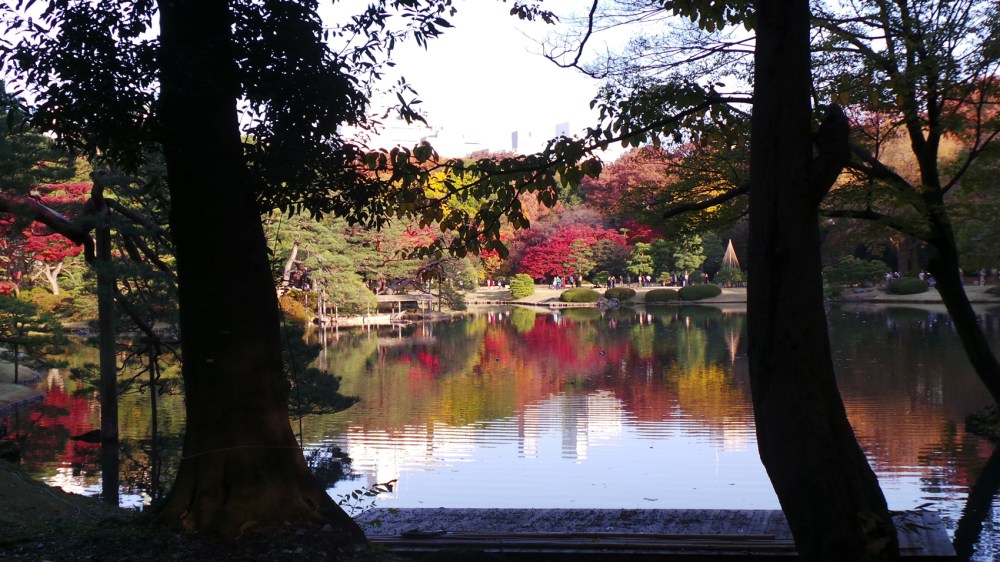 Jardin où profiter des couleurs de l'automne à Tokyo, Japon 