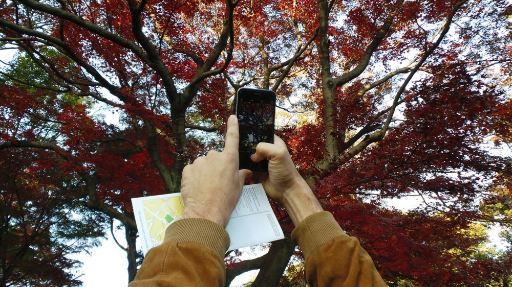 Où profiter des couleurs de l'automne à Tokyo, Japon ?