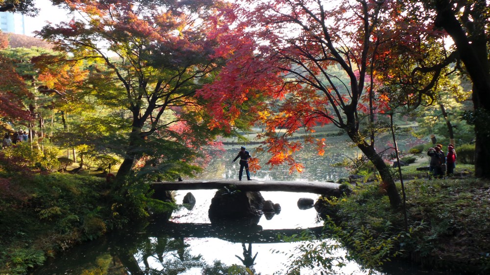 Pont de pierre dans le joli jardin Rikugi en de l'époque Edo, Tokyo