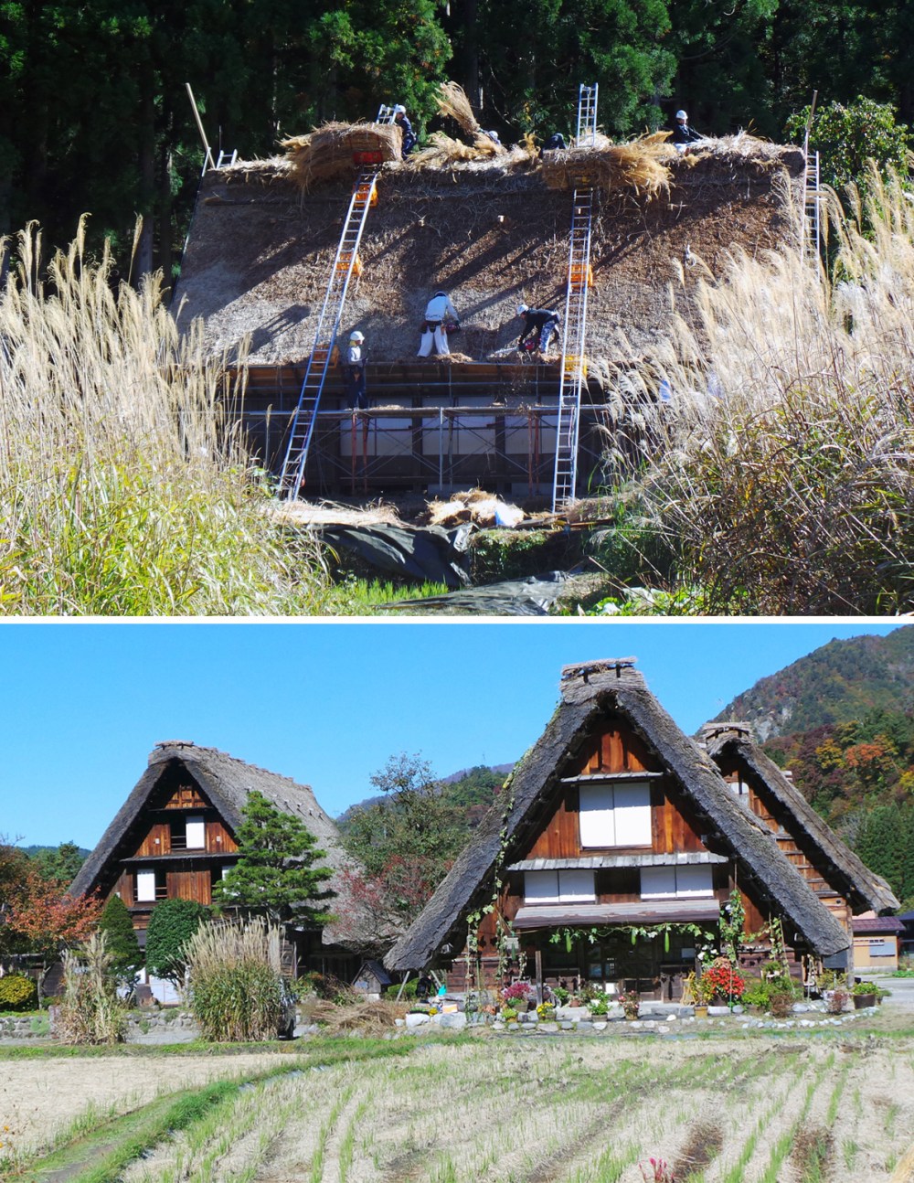 Shirakawago